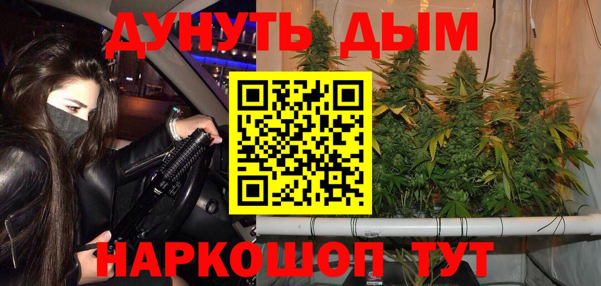 Шишки марихуана индика Кинель